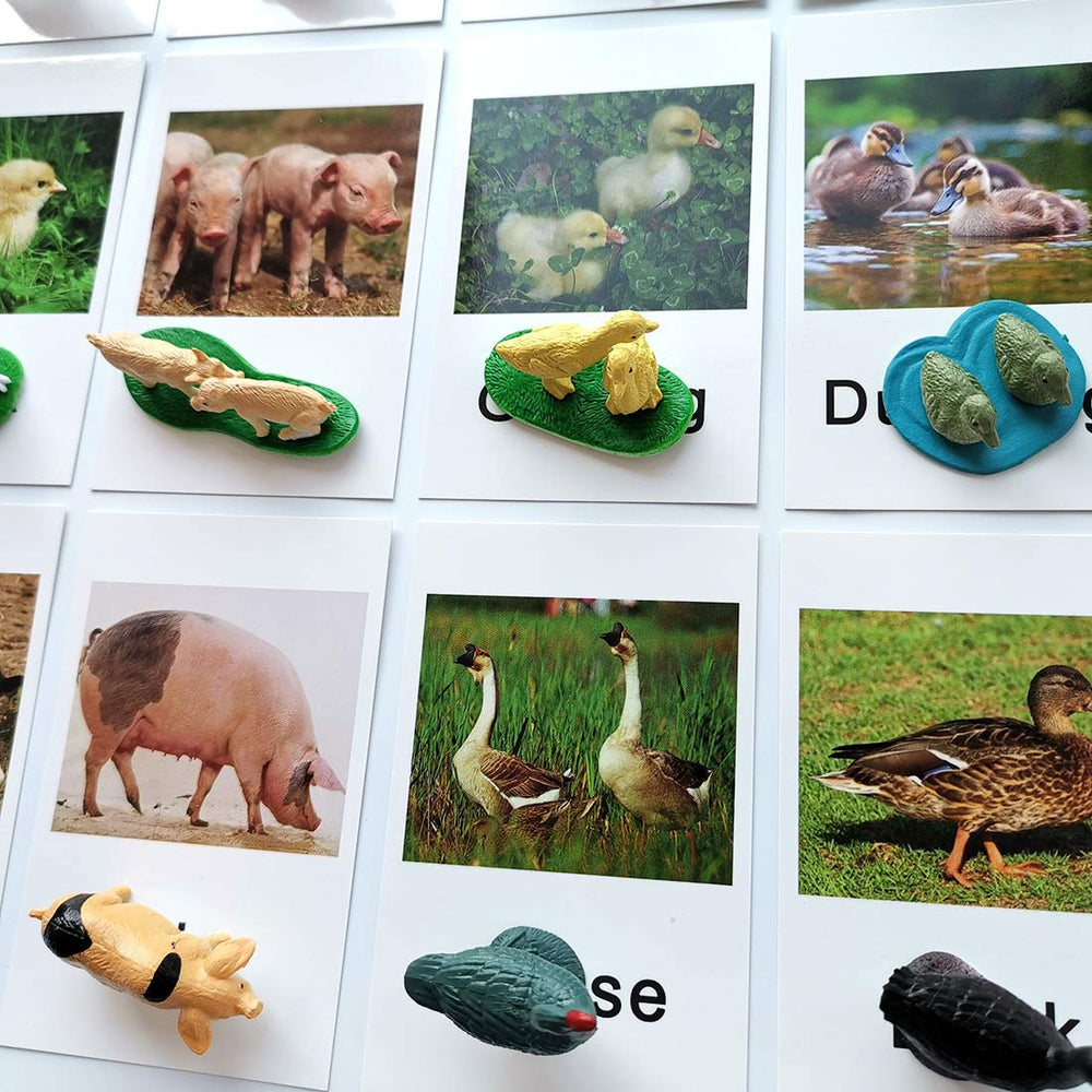 MEROCO animal figures measure 2 to 3 inches for tactile matching activities.