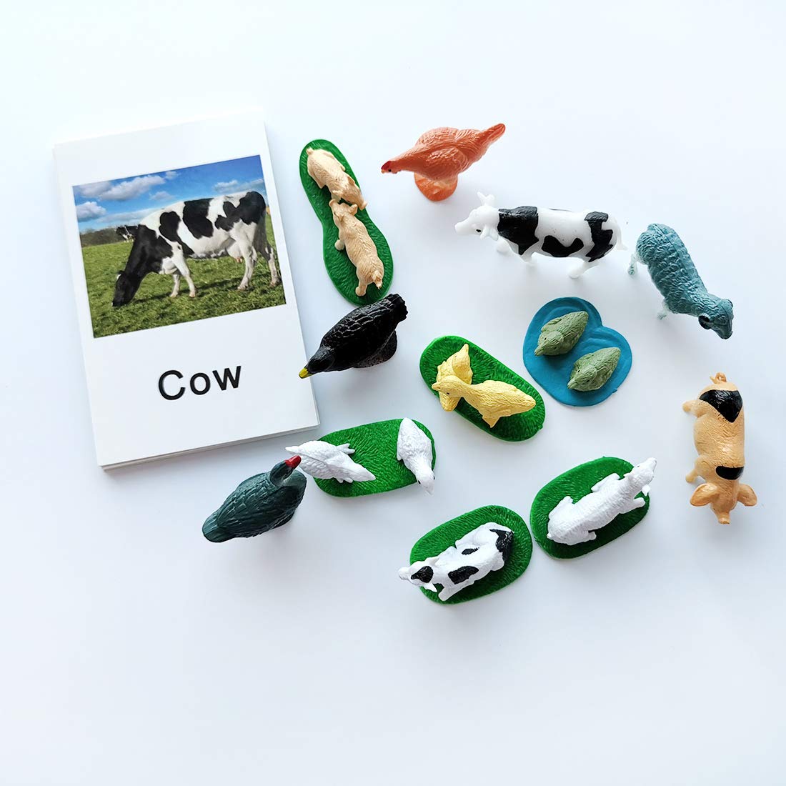 MEROCO card set includes 12 cards with clear animal imagery for early learning.