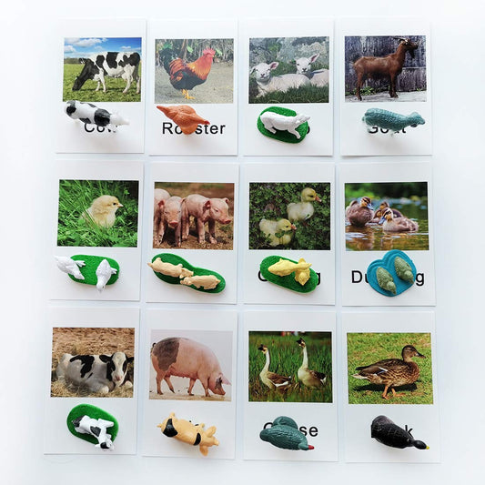 MEROCO farm animal figurines paired with cards support hands-on vocabulary practice.