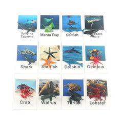 MEROCO Montessori marine crab card promotes quick word recall with bright, friendly illustration.