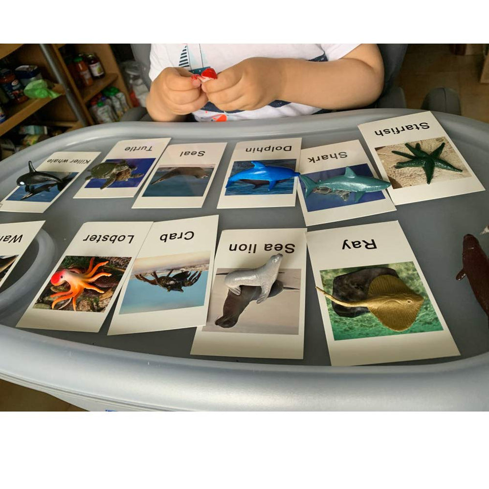 MEROCO Montessori marine octopus card encourages description and categorization through vivid tentacle visuals.