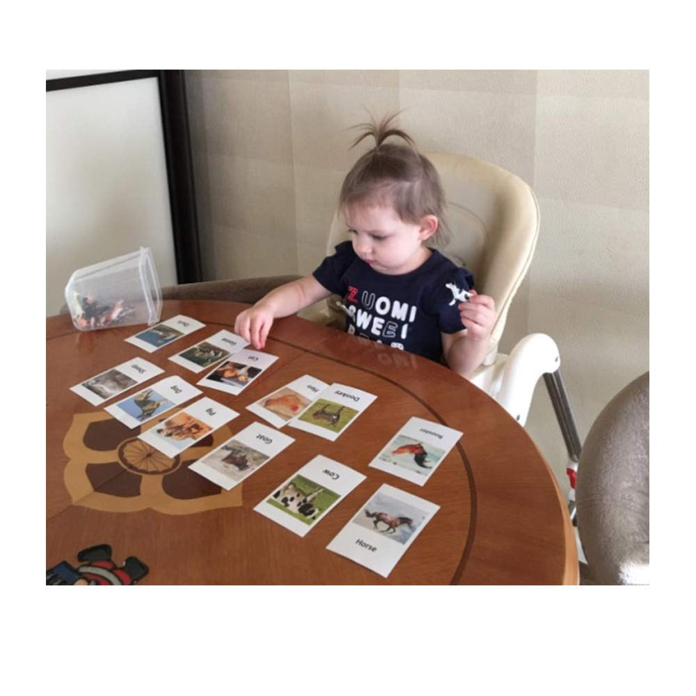 MEROCO Montessori marine otter card fosters word association with friendly, relatable sea imagery.