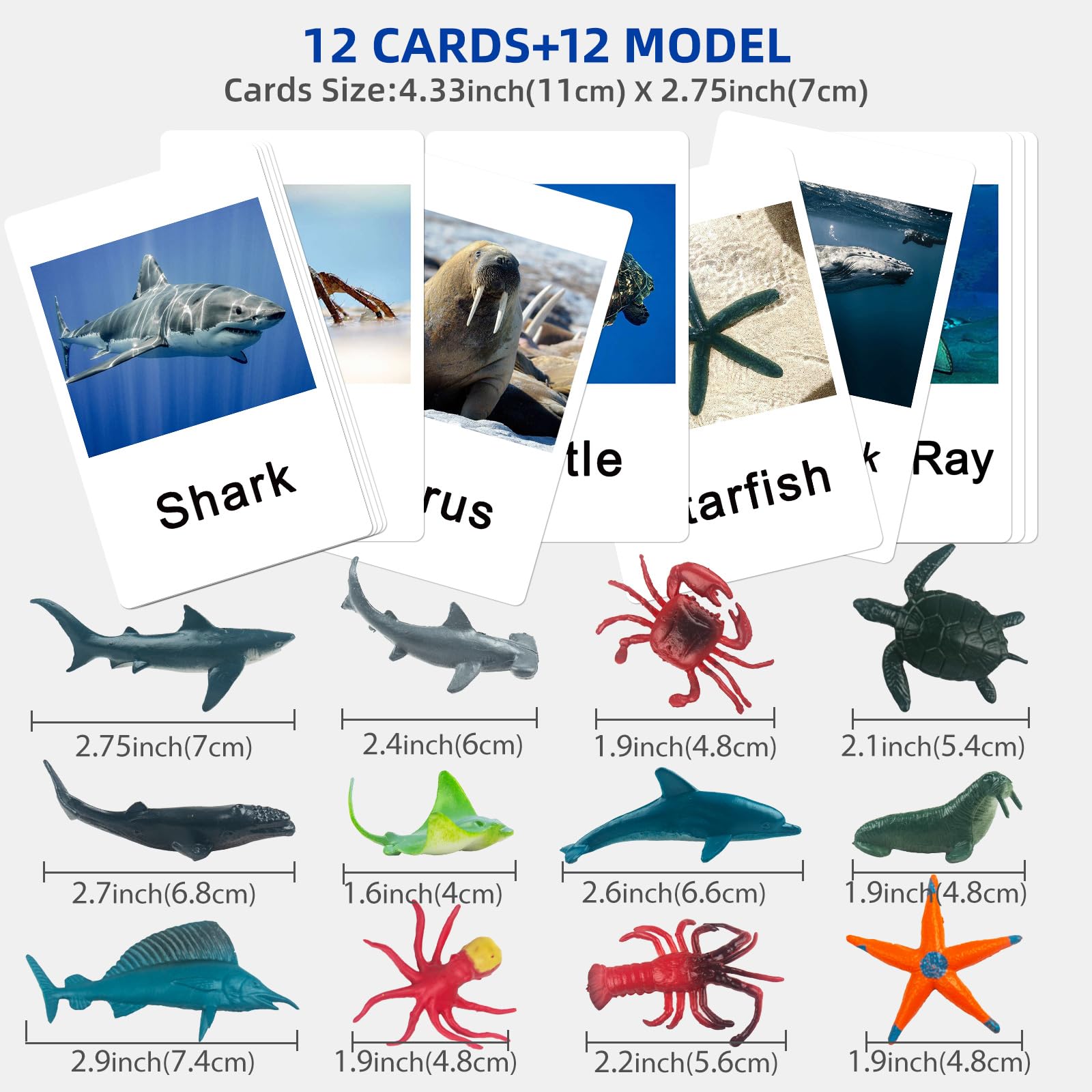 MEROCO Montessori marine turtle card supports receptive language and naming in playful lessons.