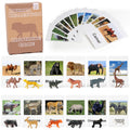 MEROCO Zoo Safari matching cards set supports early vocabulary development through visual word matching
