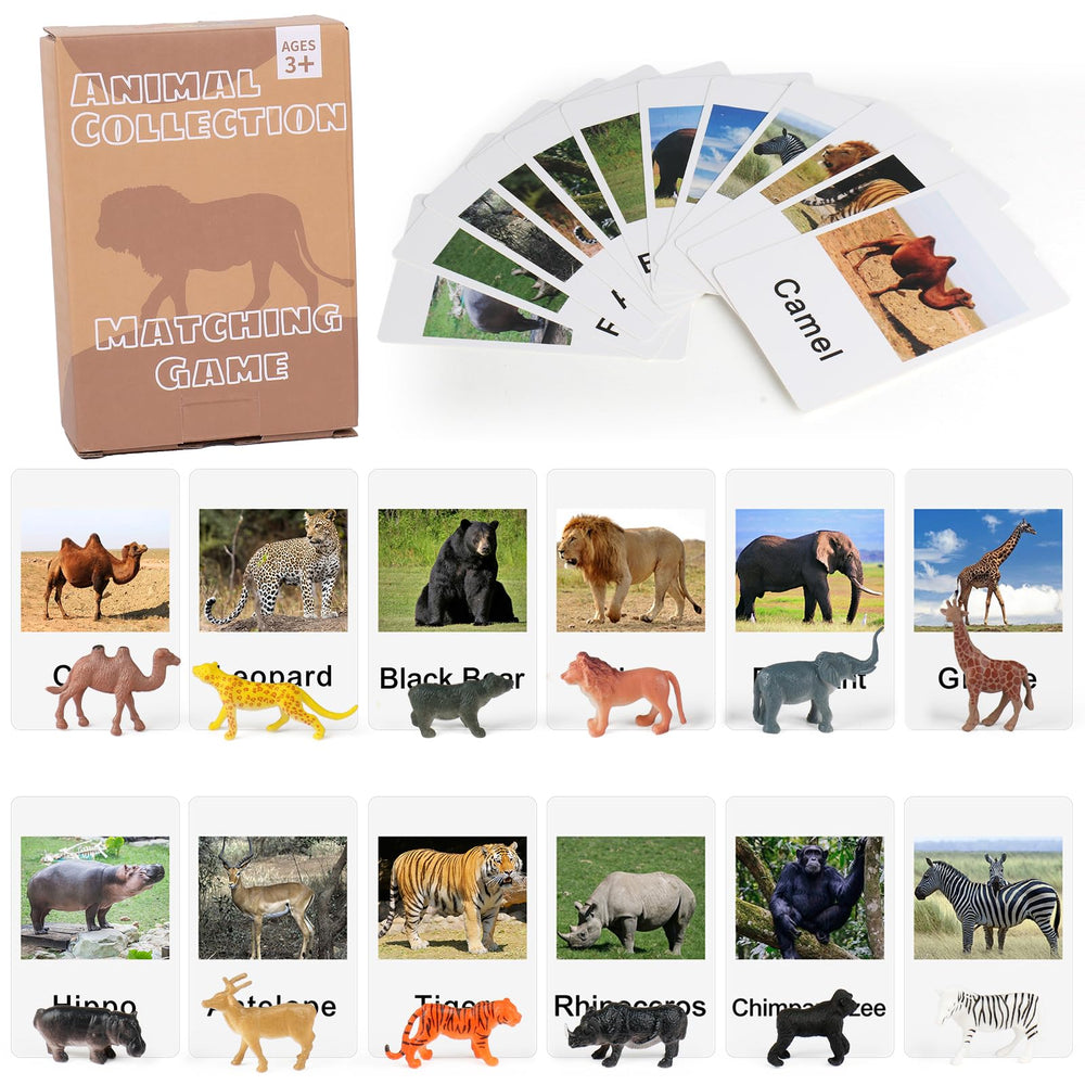MEROCO Zoo Safari matching cards set supports early vocabulary development through visual word matching