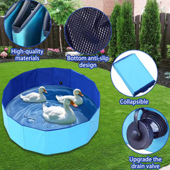 Merrisport slip-resistant bottom enhances safety during pet swimming