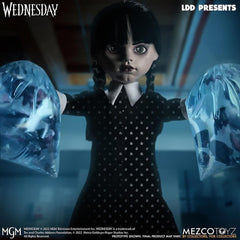 Mezco Wednesday doll packaging inside shows ready-to-present packaging.