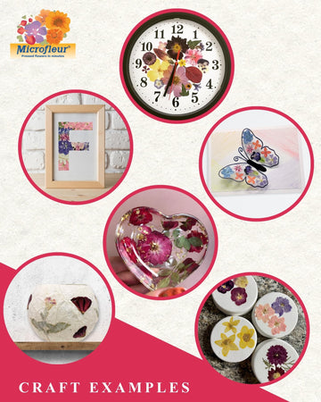 Microfleur gift idea for him and her: creative and thoughtful keepsake option.