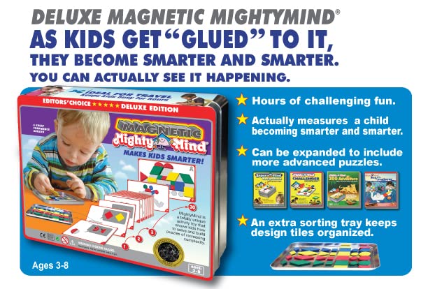 MightyMind Deluxe Magnetic Edition tray showing organized components for travel-friendly play.
