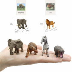 MIKNEKE flash cards with zoo animals for Montessori matching games