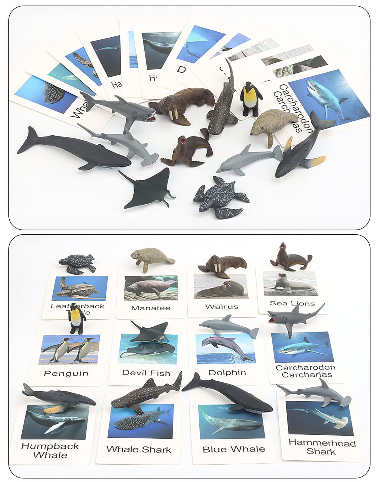 MIKNEKE kid-friendly plastic sea figures for daily classroom use