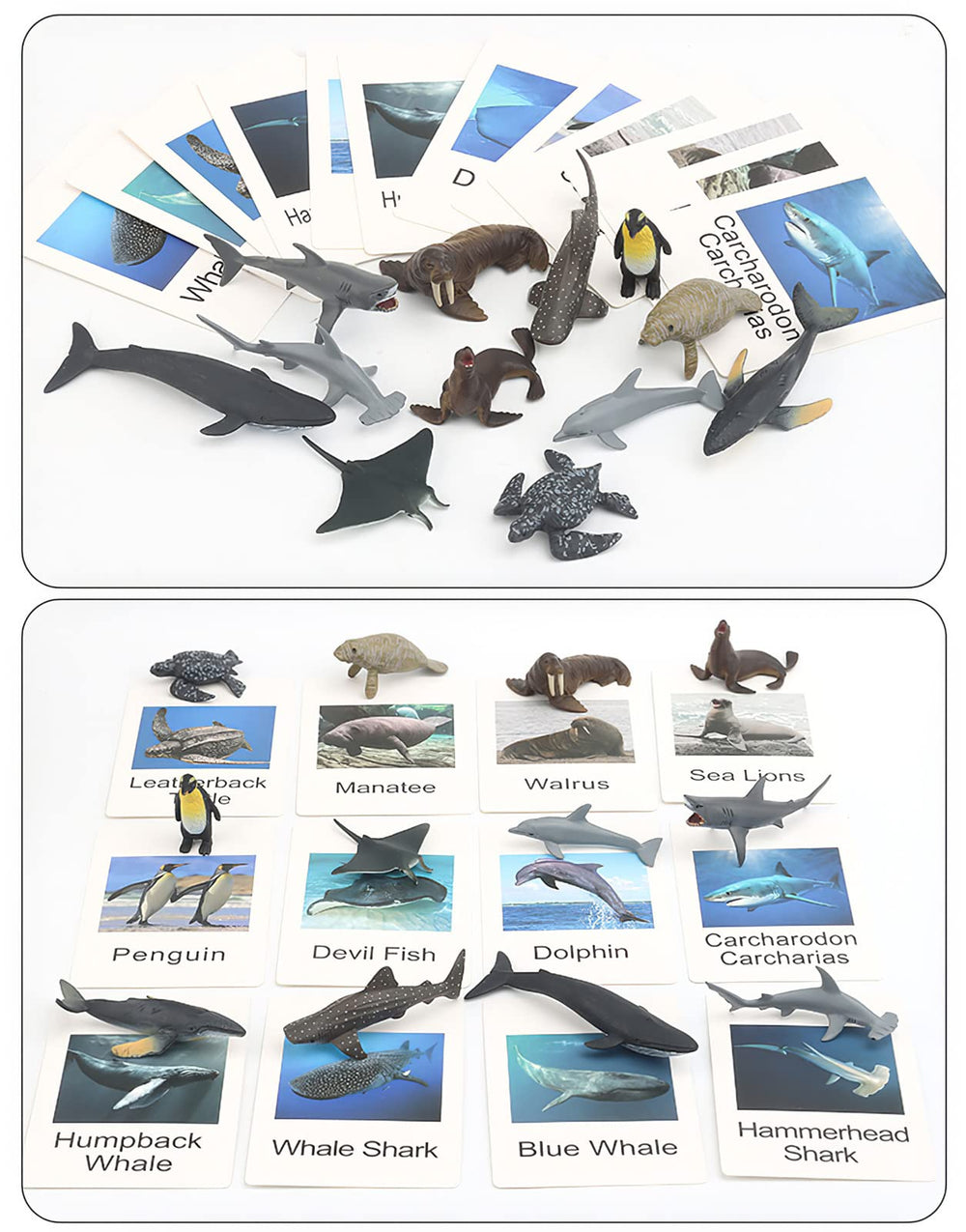MIKNEKE kid-friendly plastic sea figures for daily classroom use