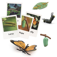 MIKNEKE butterfly figure with life cycle cards for hands-on learning at home