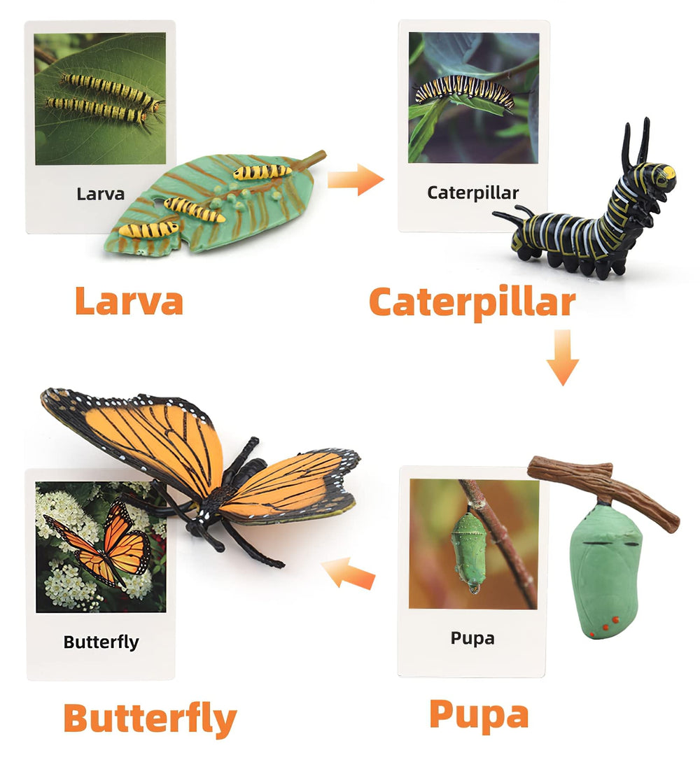 MIKNEKE caterpillar figure helps kids explore growth stages via tactile play