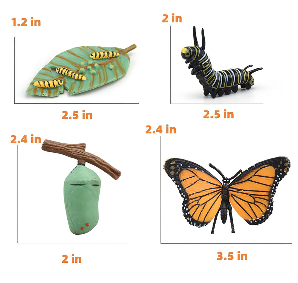 MIKNEKE chrysalis figure invites imaginative storytelling of life cycle changes
