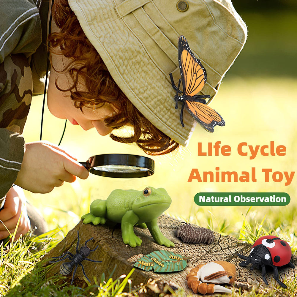 MIKNEKE storytelling scene setup boosts classroom engagement with visual aids