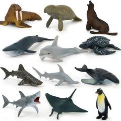 MIKNEKE realistic sea animals with detailed features for storytelling
