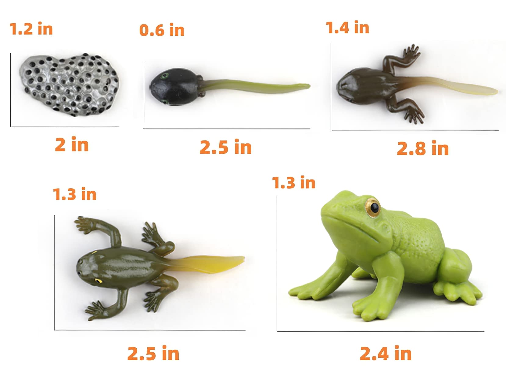 MIKNEKE tadpole to frog figures illustrate growth stages during play.