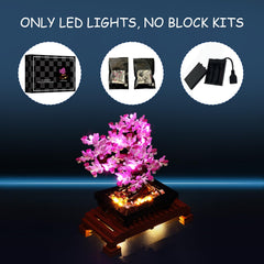 Responsive Mililier support assists with lighting setup and troubleshooting