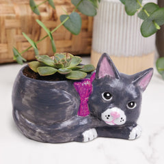 MindWare cat dish after oven-baking reveals a durable decorative piece.
