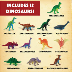 MindWare Dig It Up classroom activities support collaborative learning.