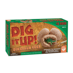 MindWare Dig It Up diorama ideas spark scene-building projects.