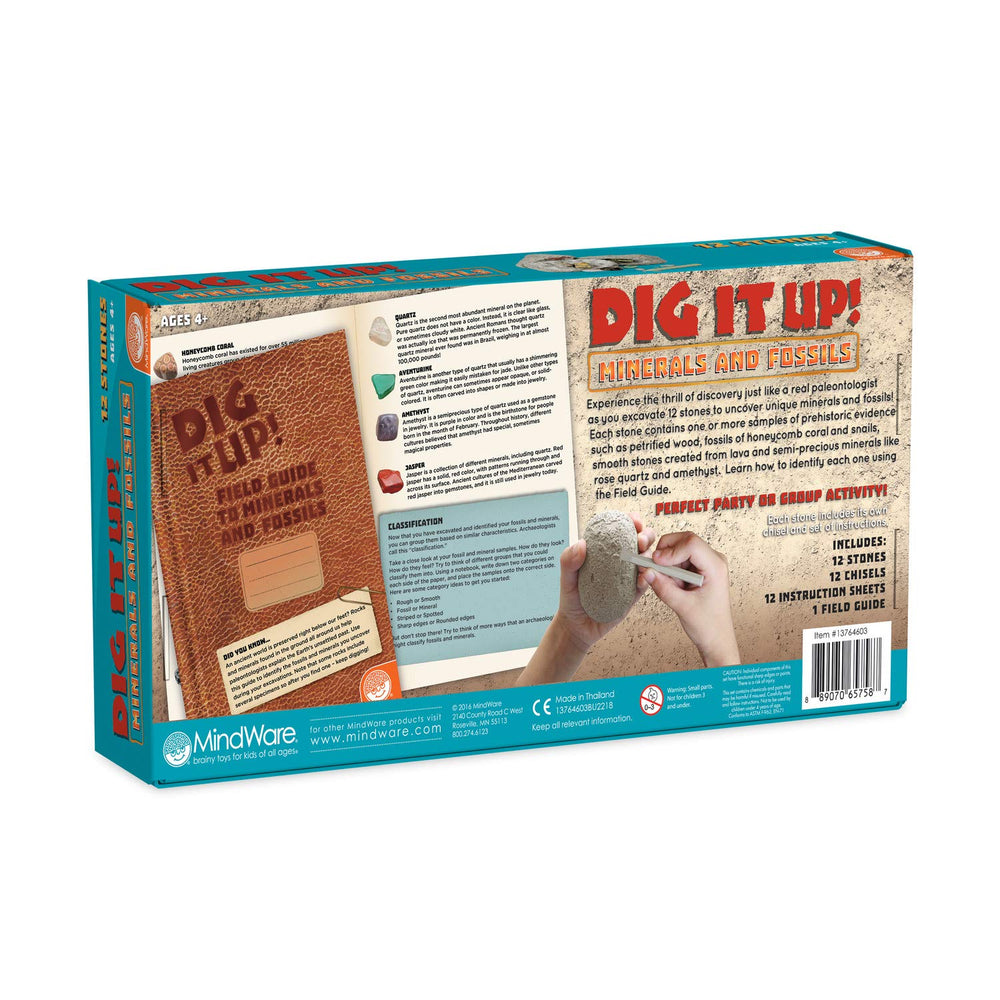 MindWare Dig It Up! Fossils classroom-activity ideal for group learning.