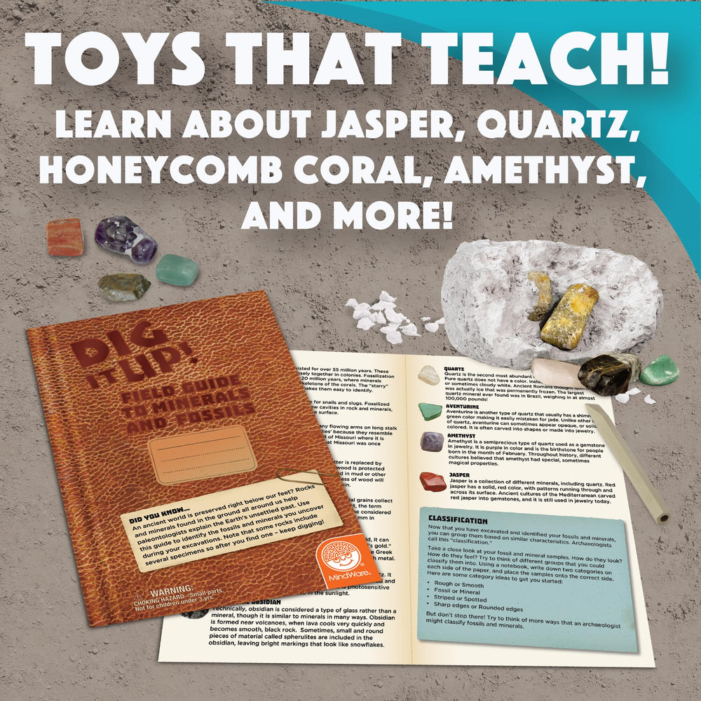MindWare Dig It Up! Fossils excavation-guidebook provides fun facts for curious archaeologists.