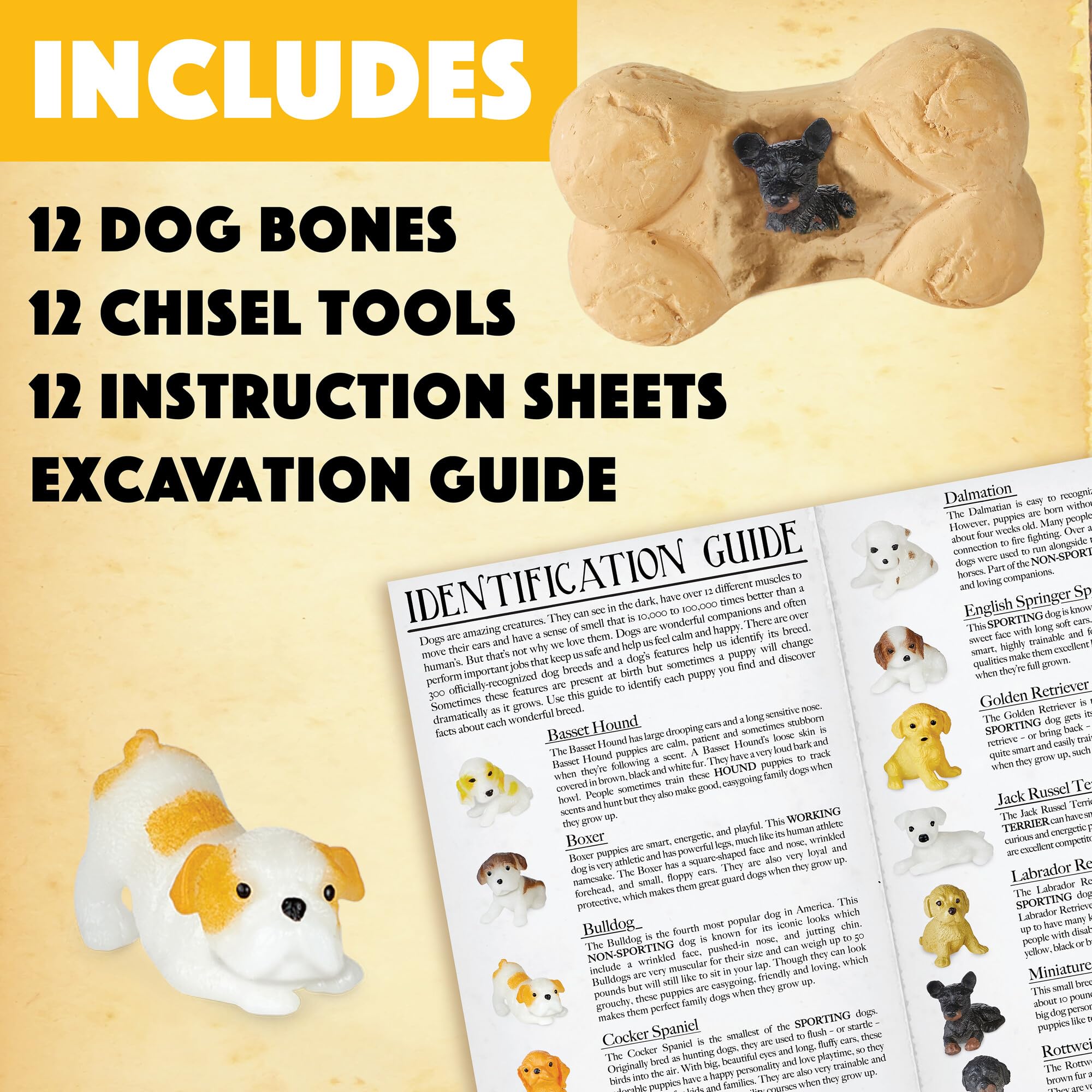 MindWare Dig It Up Puppies excavation guide helps identify breeds and traits.