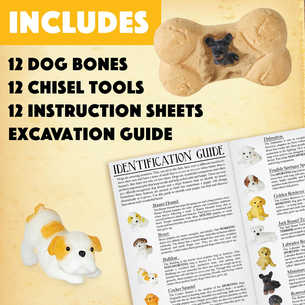MindWare Dig It Up Puppies excavation guide helps identify breeds and traits.