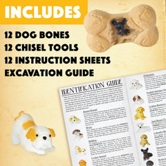 MindWare Dig It Up Puppies excavation guide helps identify breeds and traits.