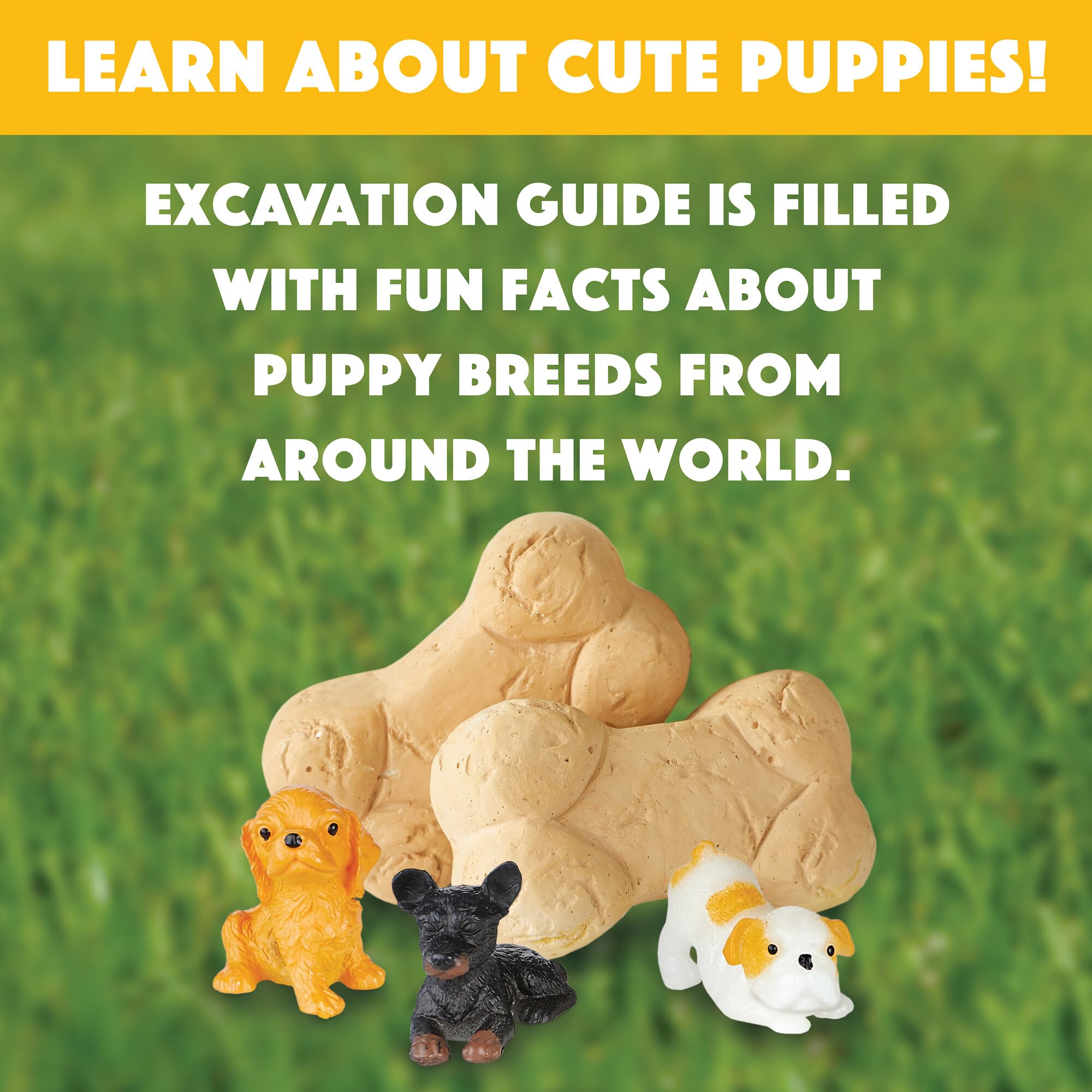 MindWare Dig It Up Puppies instructions and kit components for easy setup.