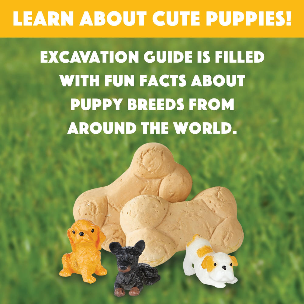 MindWare Dig It Up Puppies instructions and kit components for easy setup.
