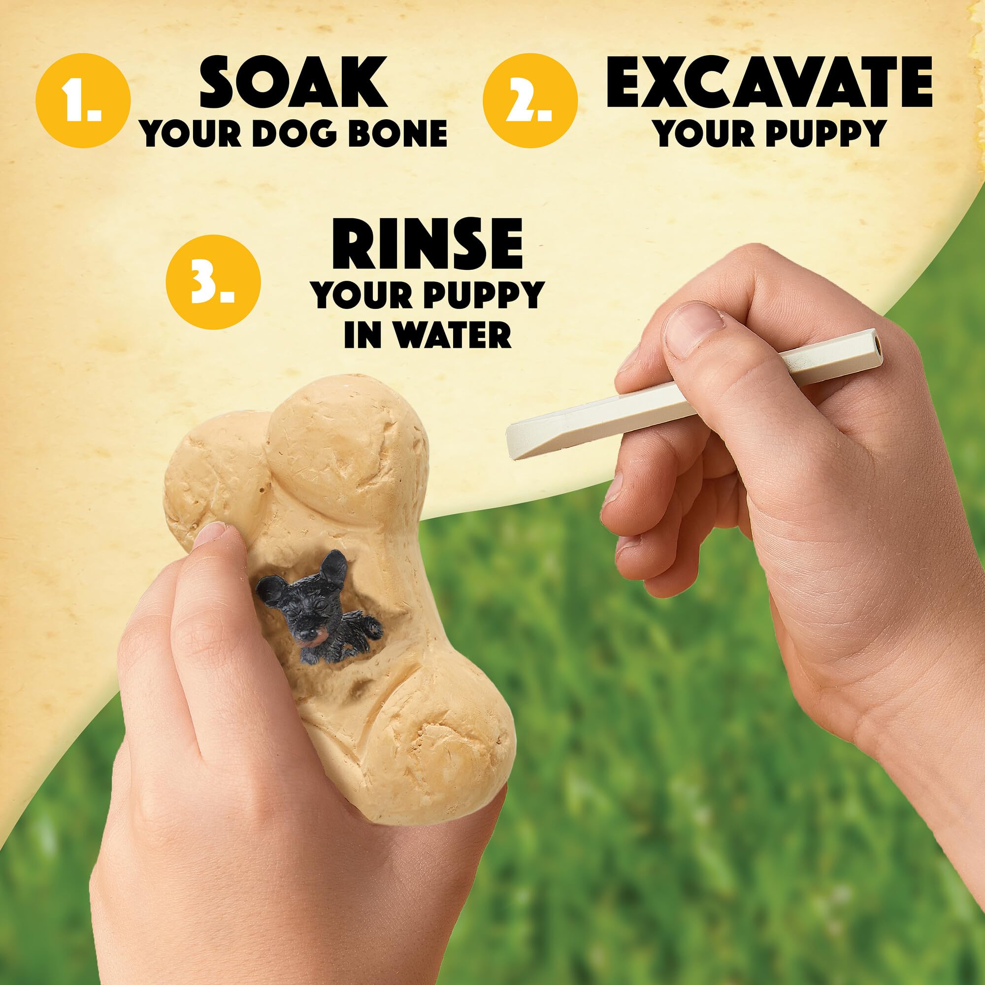 MindWare Dig It Up Puppies soaking bone in water to reveal a puppy.