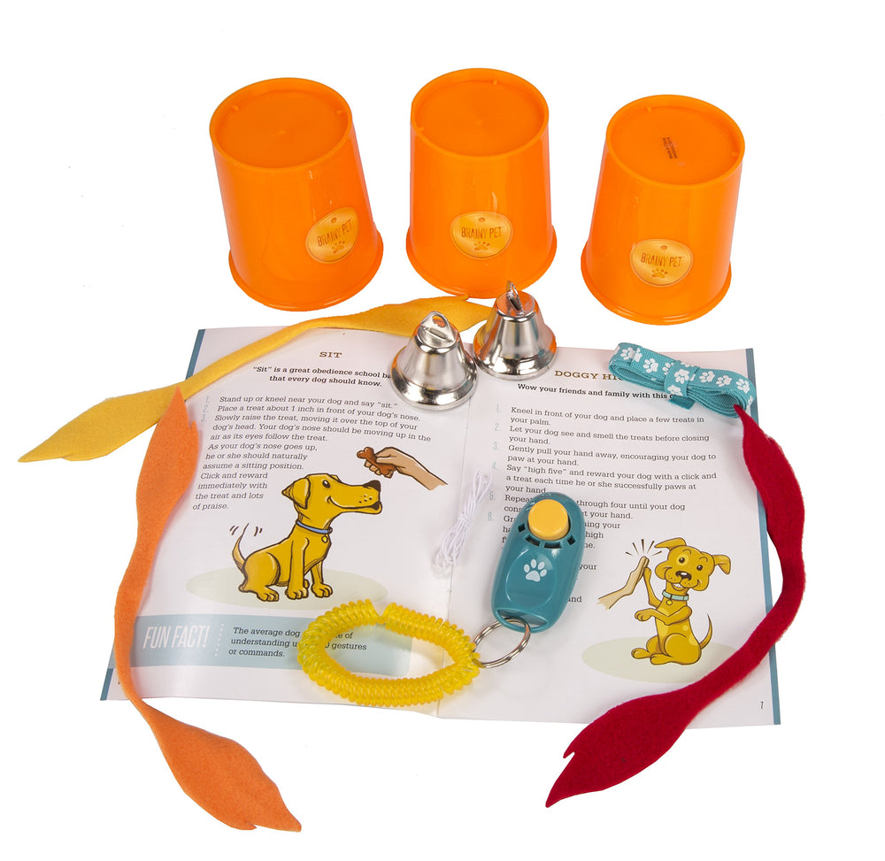 MindWare Doggy Day Camp backyard setup is easy and portable for on-the-go sessions.
