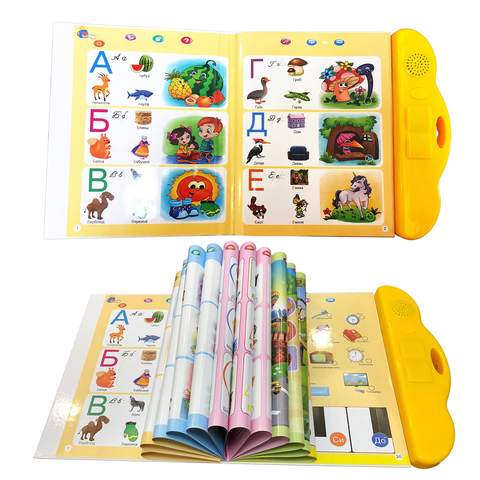 MINMEER education toy sounds to spark curiosity and learning sessions