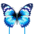 Mint's Colorful Life butterfly kite blue front view for family kite fun