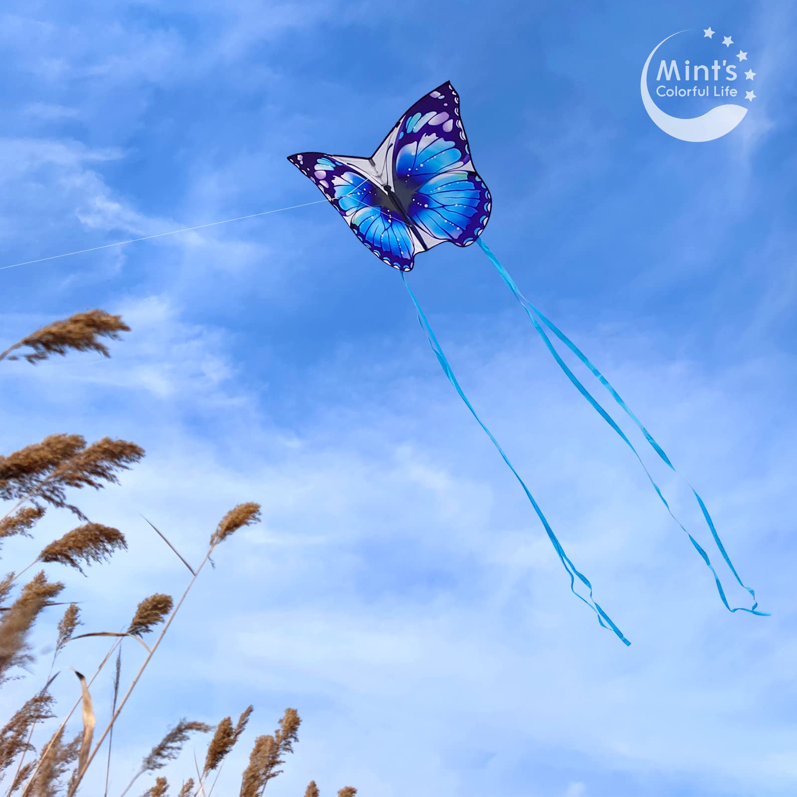 Mint's Colorful Life butterfly kite blue in the sky demonstrating easy flight for beginners