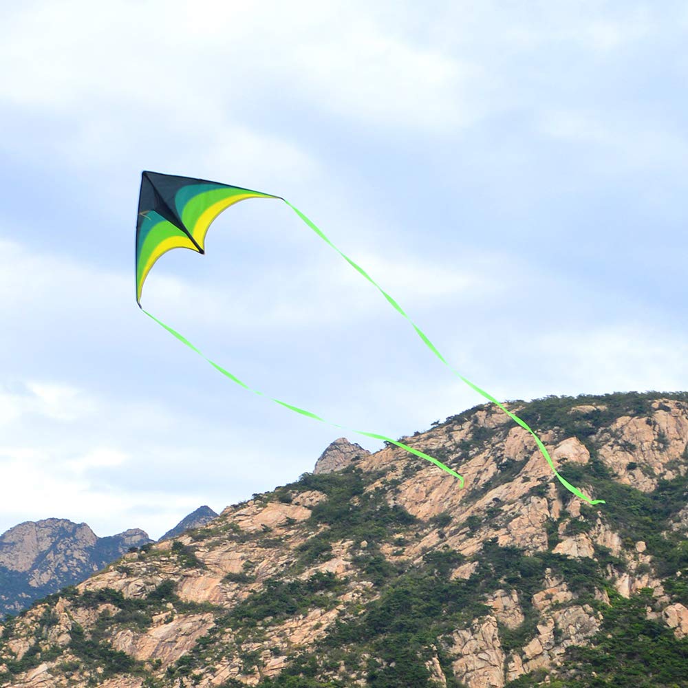 Mint's Colorful Life Delta Kite on the beach enables joyful family moments.