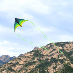 Mint's Colorful Life Delta Kite on the beach enables joyful family moments.