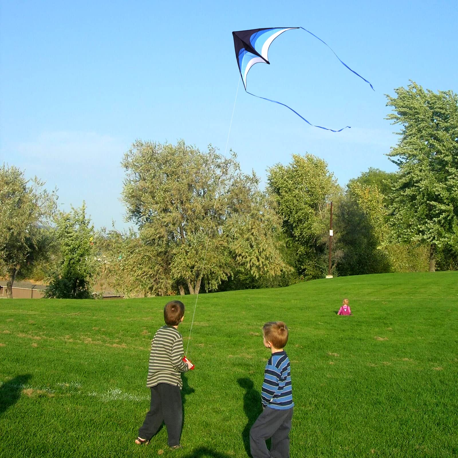 Ready-to-fly Delta Kite with ribbons and simple setup for quick outdoor fun.