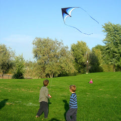 Ready-to-fly Delta Kite with ribbons and simple setup for quick outdoor fun.