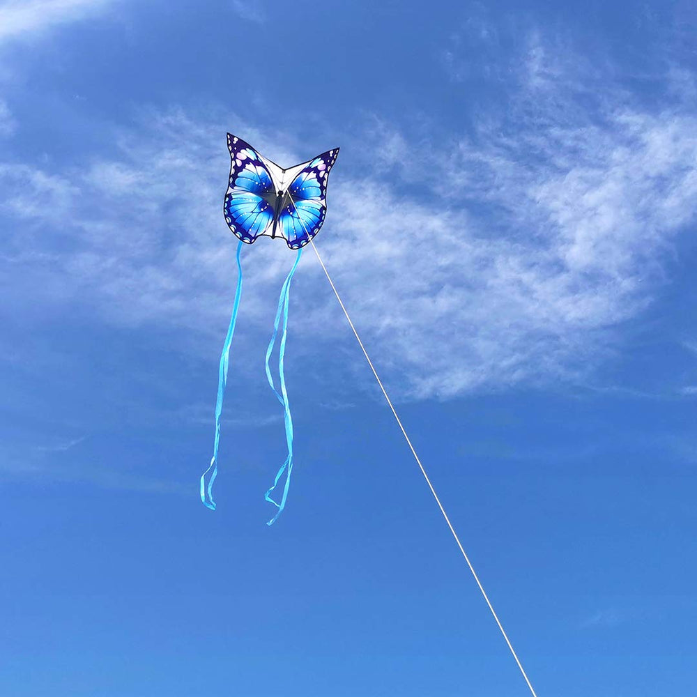 Mint's Colorful Life butterfly kite outdoors, family-friendly activity in sunny weather