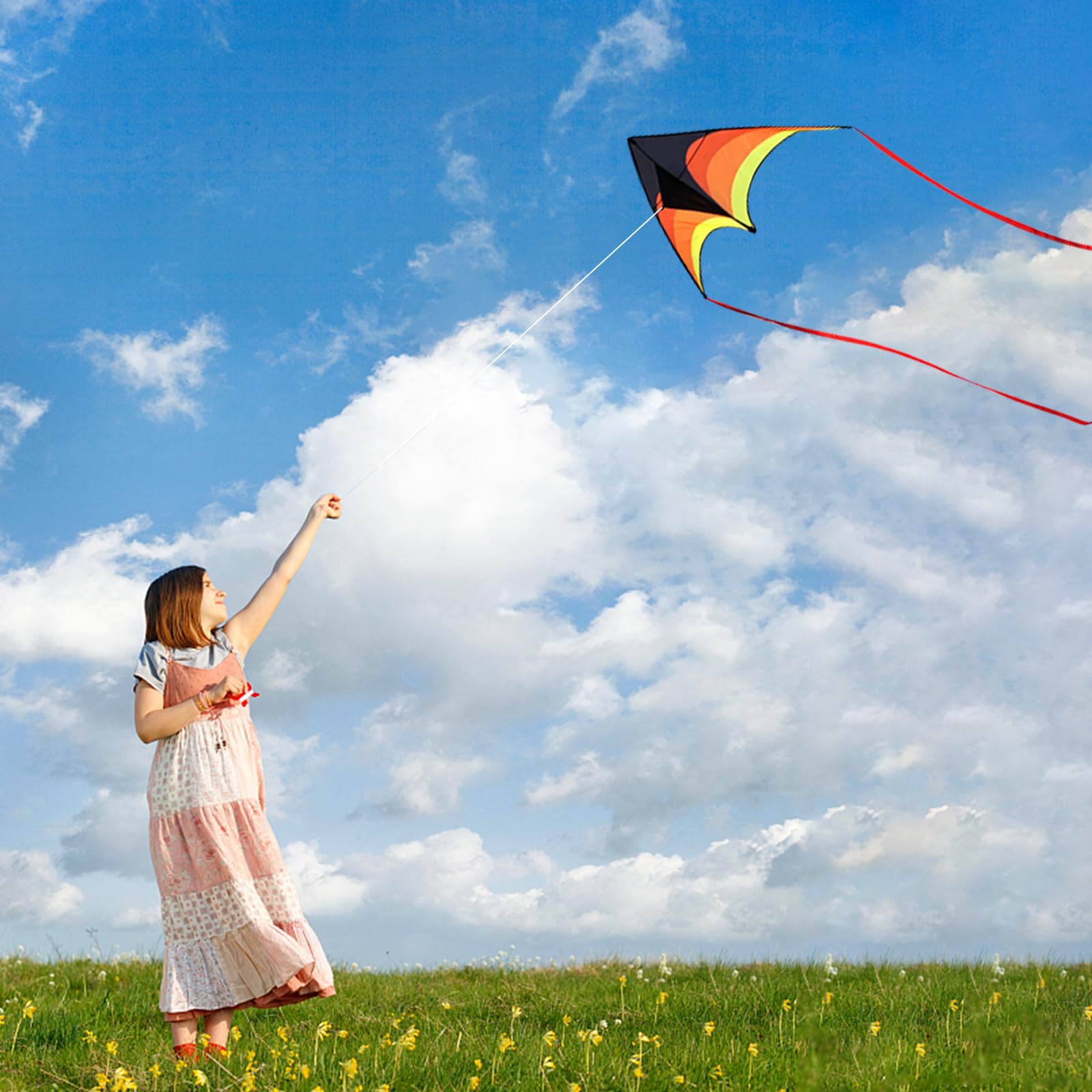 Mint's Colorful Life sunlit sails showcase vibrant colors for park days.