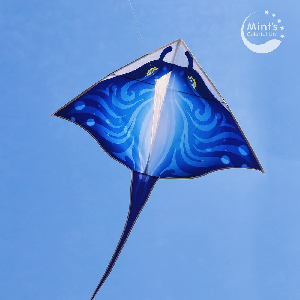 Mint's Colorful Life family-friendly beach kite fun and easy setup