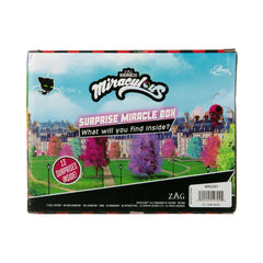 Miraculous birthday party favors for kid celebrations