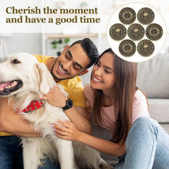 Misdary Memento Mori coin gift-ready packaging for any occasion
