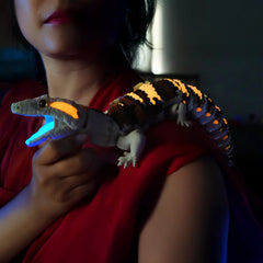 Mivi Collection 3D printed lizard ideal for collector displays.