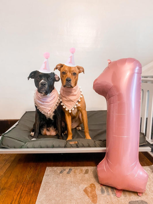 Mluchee Pearl Pink 40-inch number balloon adds dramatic birthday accents