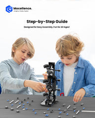 Mocellence model display angle view highlights dimensions and aesthetics
